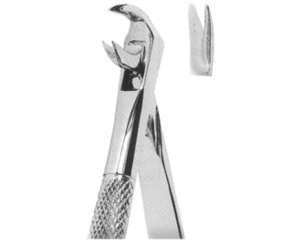 Extracting Forceps English pattern